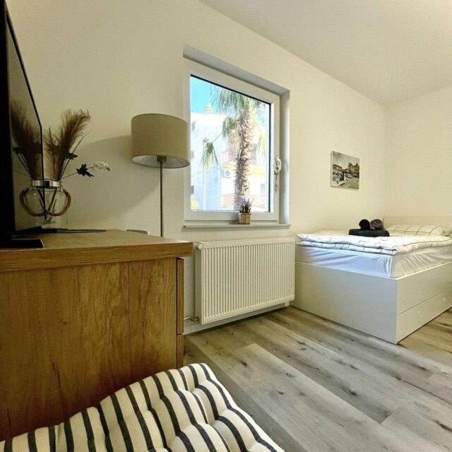 photo_2024-02-15_18-05-47