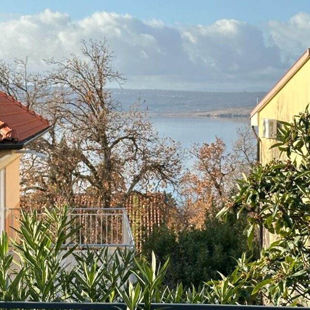 WhatsApp Image 2024-03-05 at 18.28.55 (2)