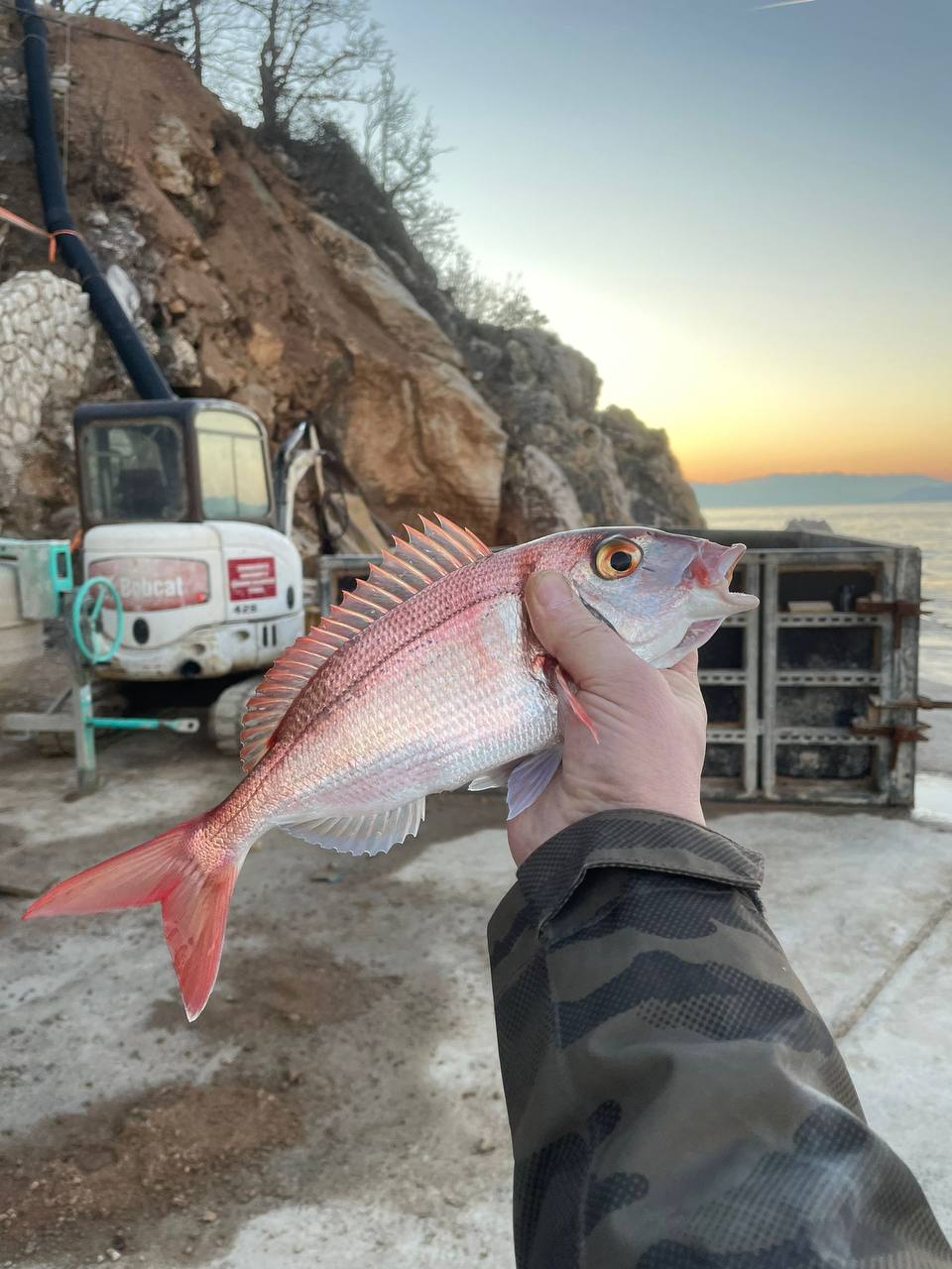 photo_15_2024-03-15_15-21-30