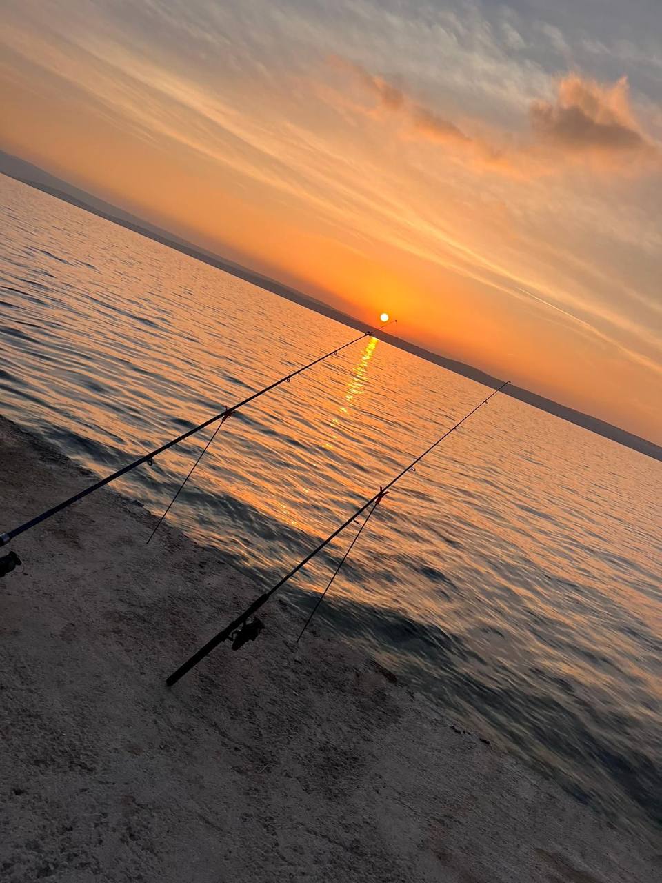 photo_17_2024-03-15_15-21-30