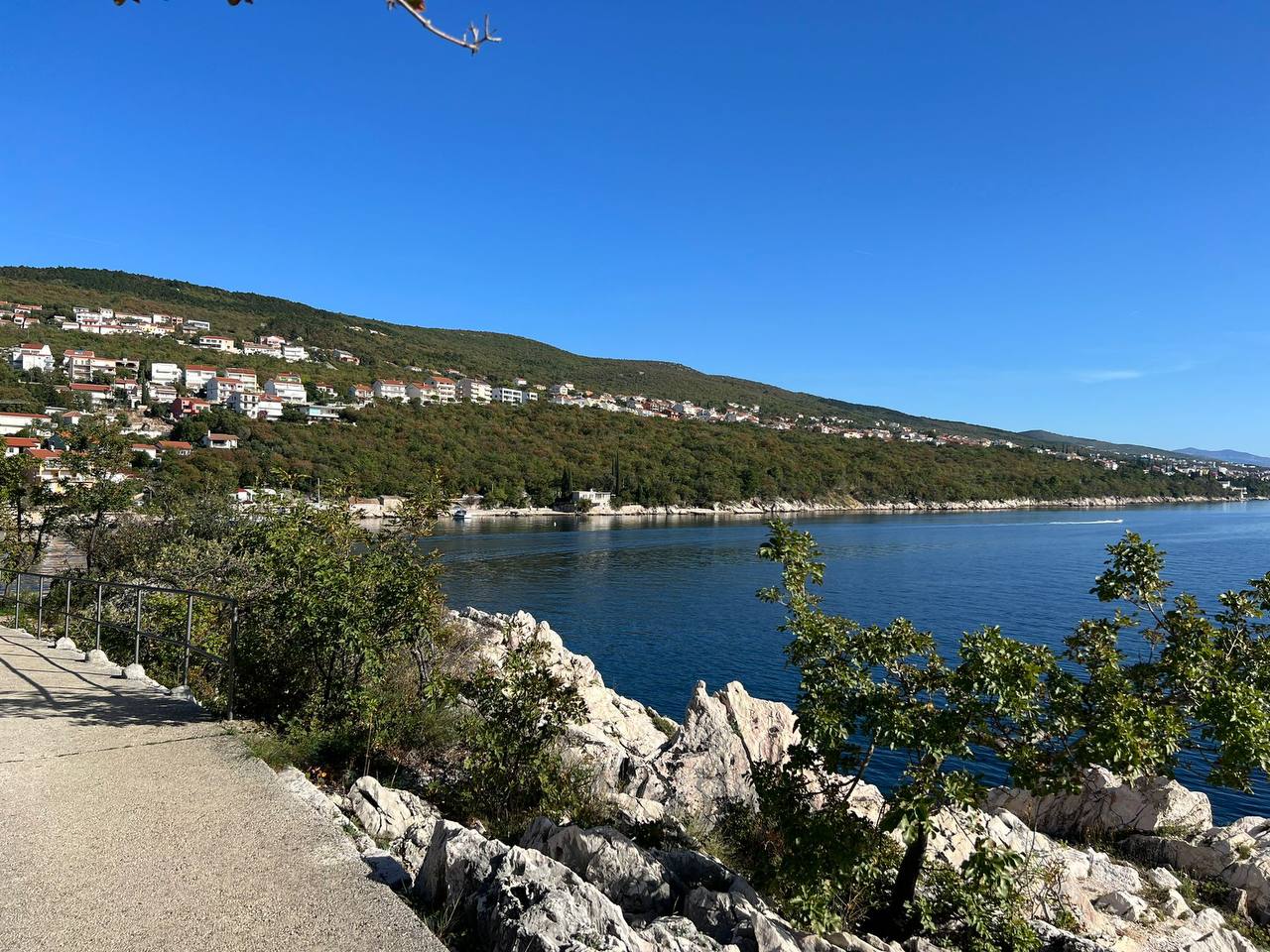 photo_19_2024-03-15_15-21-30