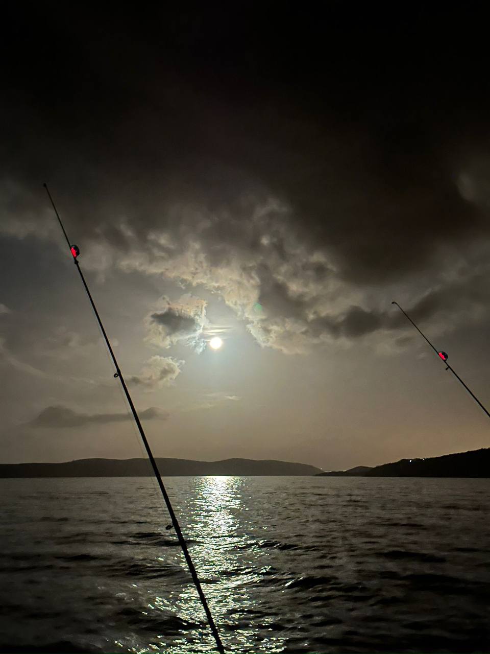 photo_1_2024-03-15_15-21-30