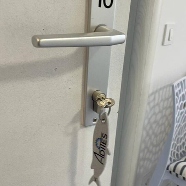 photo_1_2024-03-25_10-22-28