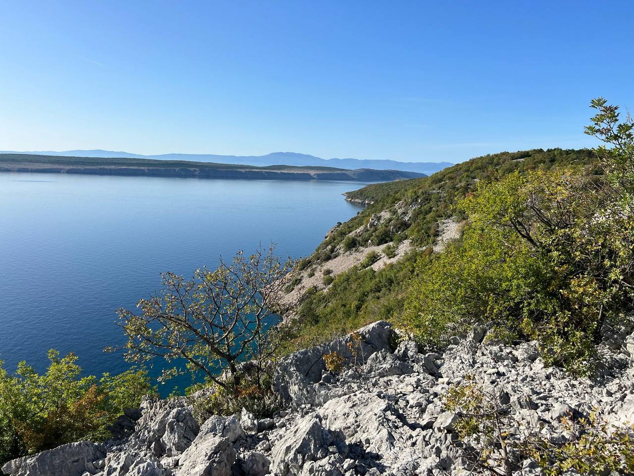 photo_27_2024-03-15_15-21-30