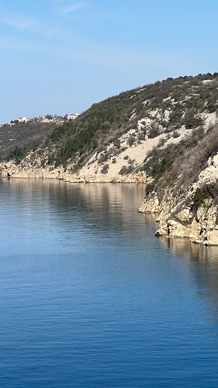 photo_28_2024-03-15_15-21-30