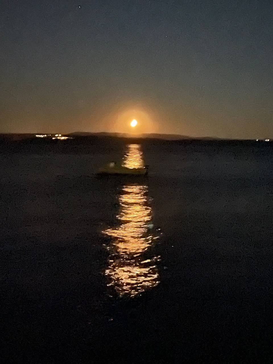 photo_2_2024-03-15_15-21-30