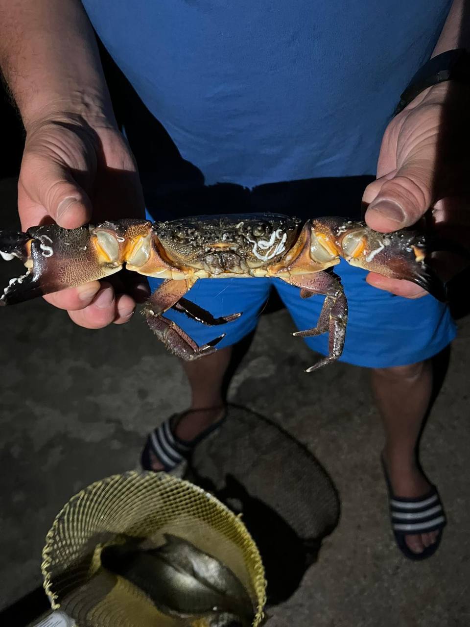 photo_3_2024-03-15_15-21-30