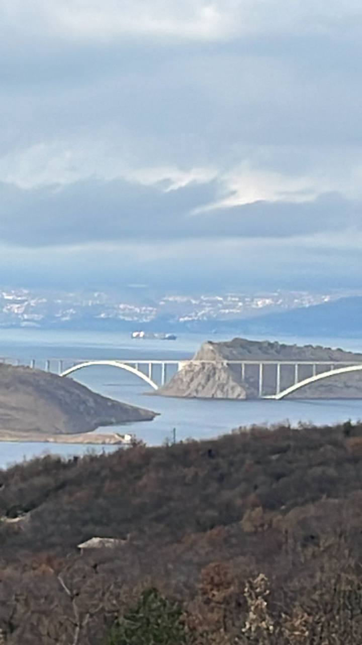 photo_5_2024-03-15_15-21-30