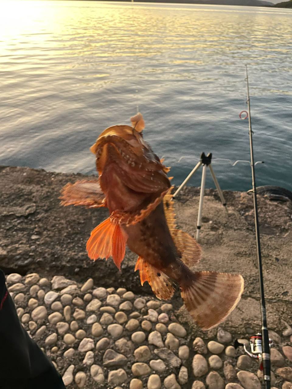 photo_8_2024-03-15_15-21-30